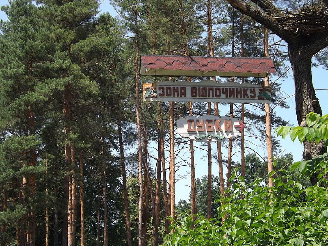 На Шепетівщині лісівники будують європейську зону відпочинку