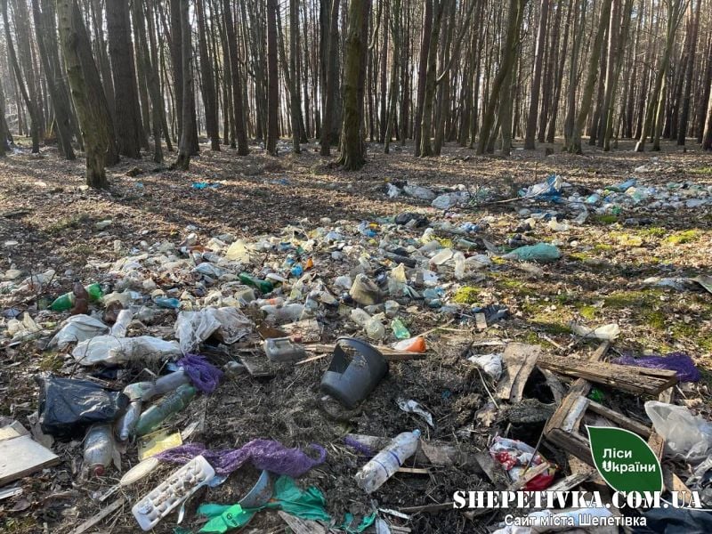 Смітять не відходячи далеко від домівок: у шепетівському лісі ліквідовували стихійний смітник