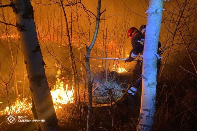 Протягом минулої доби вогнеборці Шепетівщини ліквідували 3 пожежі