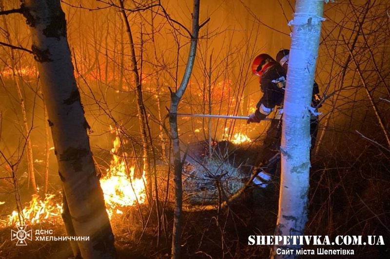 Протягом минулої доби вогнеборці Шепетівщини ліквідували 3 пожежі