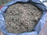 Знайшов на смітнику мішок коноплі