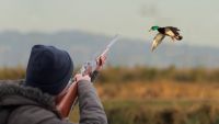 На Шепетівщині розпочинається сезон полювання на пернату дичину