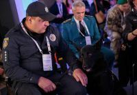 Вівчарка Рей з Нетішина стала лауреатом Всеукраїнської премії