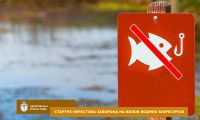 Стартує нерестова заборона на вилов водних біоресурсів