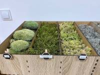 У нацпарку на Шепетівщині створили тактильні коробки: що це і для кого