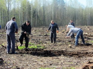 Шепетівські міліціонери взялись за лопати