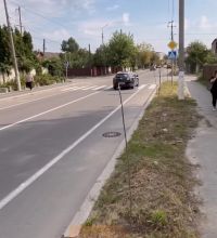 Знову на вулиці Соборності невідомі поламали молоді клени: на цей раз 17