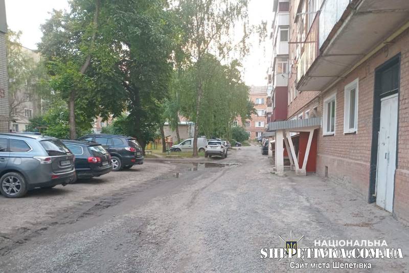 В Ізяславі 13-річний підліток погрожував ножем 7-річному хлопчику: на батьків склали протокол