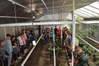 Учням ЗОШ № 4 провели екскурсію Кам’янківським лісництвом