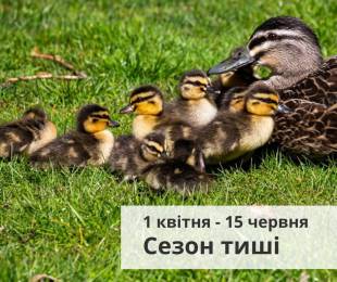 Сьогодні розпочався щорічний &quot;сезон тиші&quot;: що заборонено