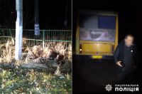 Отримав вирок водій автобуса, який напідпитку наїхав на електроопору