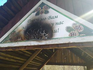 Лісова охорона ліквідовувала наслідки відпочинку безвідповідальних містян