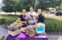 У Шепетівському районі за допомогою лаванди збирали кошти на ЗСУ