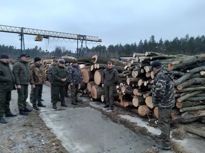 Під час перевірки у роботі Шепетівського лісгоспу виявили недоліки