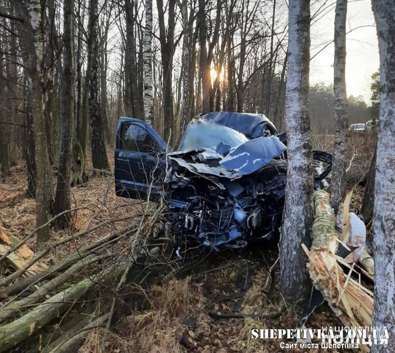 Трагічне ДТП: житель Шепетівщини загинув внаслідок зіткнення із деревом