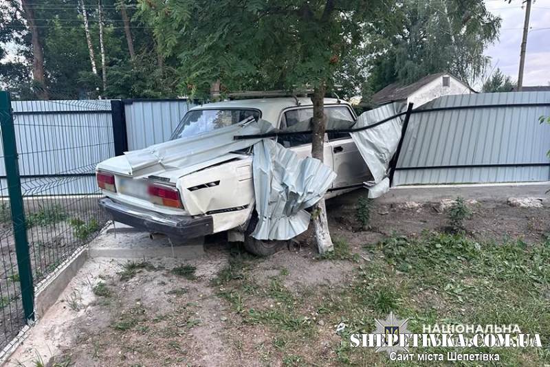 На Шепетівщині п'яний водій здавав назад і збив двох пішоходів