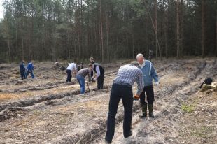 Лісівники підбили підсумки природоохоронної акції