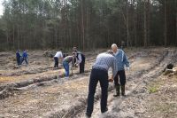 Лісівники підбили підсумки природоохоронної акції