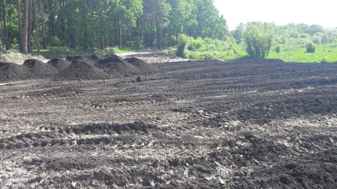 Шепетівчанин проведе 2 роки за ґратами через шкоду довкіллю на 3 млн грн