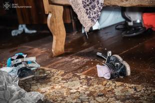 У вогні загинула маленька дівчинка, братика врятував сусід