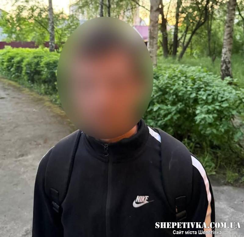 У Шепетівці засудили чоловіка, який обікрав роботодавицю та ще й торгував гранатами