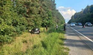 Неподалік села Кам'янка водій автомобіля не зміг оминути велосипедиста