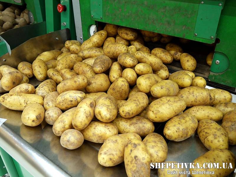 Ціни на продукти у 2026 році: що прогнозують для України