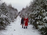 Щоб ялинка приносила радість