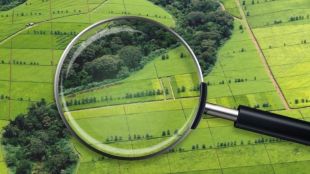 Понад 270 тис. грн отримала міська рада від продажу землі