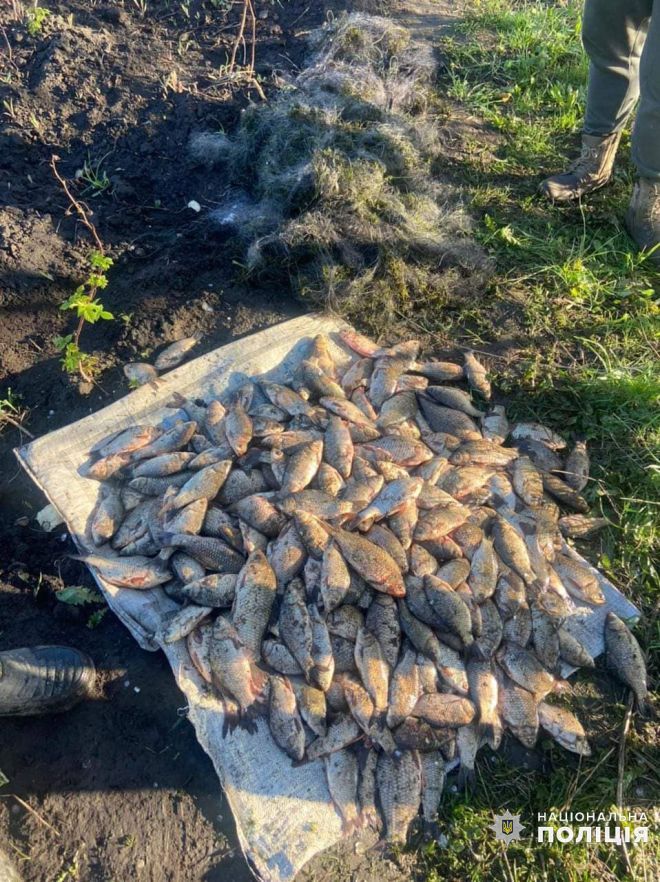 За незаконний вилов риби житель Шепетівщини відшкодує понад 340 тисяч гривень