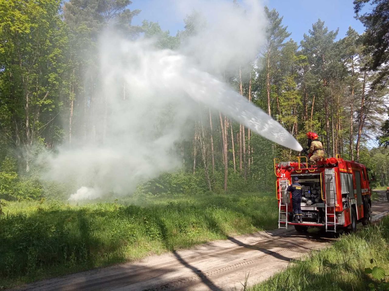 Рятувальники на Шепетівщині відточували навички під час ліквідації умовної лісової пожежі