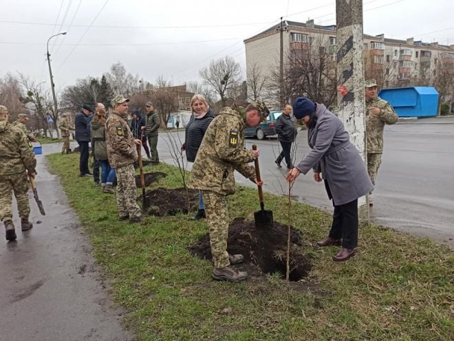 На вулицях Шепетівки висадили 75 саджанців лип