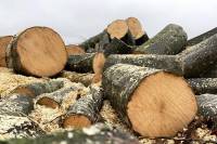 Активізувались псевдопродавці дров: постраждало двоє жителів Шепетівщини