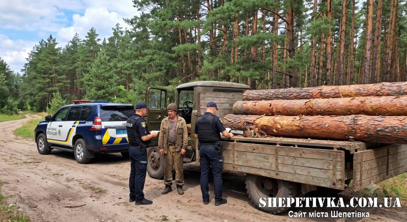 Зрубав три сосни і попався поліції: на Шепетівщині судили незаконного лісоруба