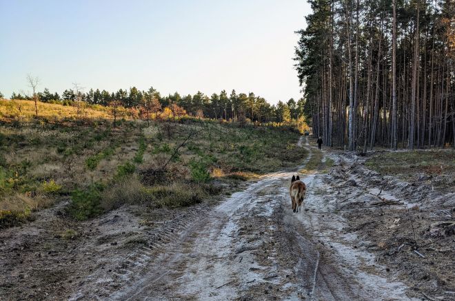 На Шепетівщині перейменували ботанічний заказник місцевого значення