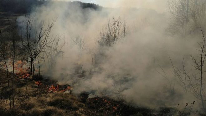 Пожежа сухостою у Шепетівці