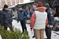 Шепетівські лісівники вже вторгували за ялинки 87 тис. грн.