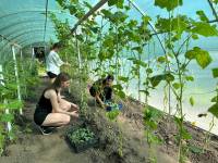 Шепетівський ЦЕНТУМ підбив підсумки першого року використання подарованих теплиць