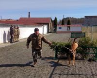 У Шепетівській виправній колонії відбулися тренування кінологів