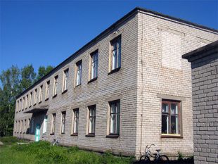 Школярка посеред уроку вистрибнула з вікна