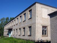 Школярка посеред уроку вистрибнула з вікна