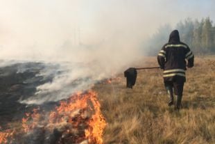 Між селами Заморочення та Михайлючка горіло 17 га сухої трави