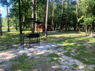 Лісівники Шепетівщини запрошують на екскурсію до Мальованського лісництва