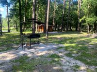 Лісівники Шепетівщини запрошують на екскурсію до Мальованського лісництва