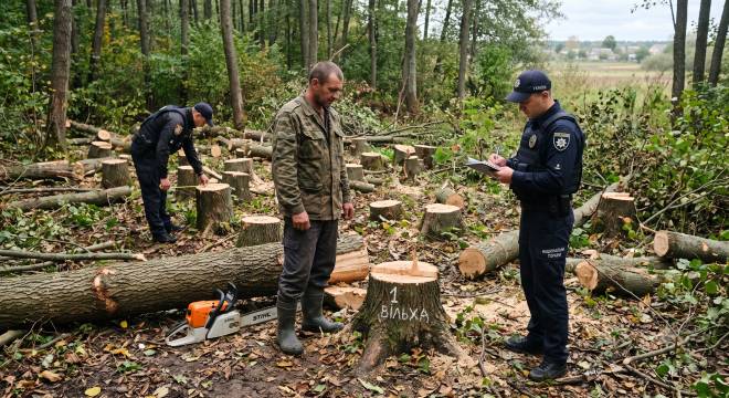 Зрубав 31 дерево на 236 тисяч гривень: на Шепетівщині суд виніс вирок «чорному лісорубу»