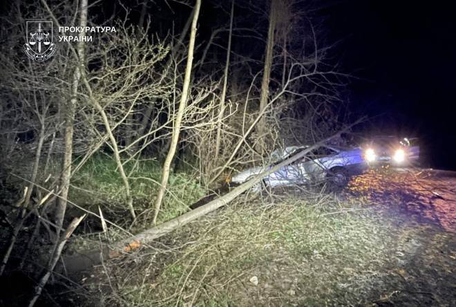 На Шепетівщині засуджено водія, який у стані сп’яніння врізався в дерево
