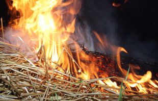 Вогнеборці ліквідували пожежу в житловому будинку та врятували господарську будівлю