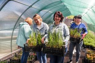 Чоловік та син на фронті, а вона — в теплиці: Олена Троц про те як переживає війну
