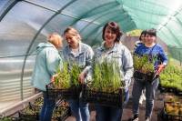 Чоловік та син на фронті, а вона — в теплиці: Олена Троц про те як переживає війну