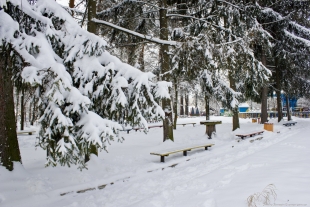 Шепетівка отримає 173 тис.грн. на благоустрій парку